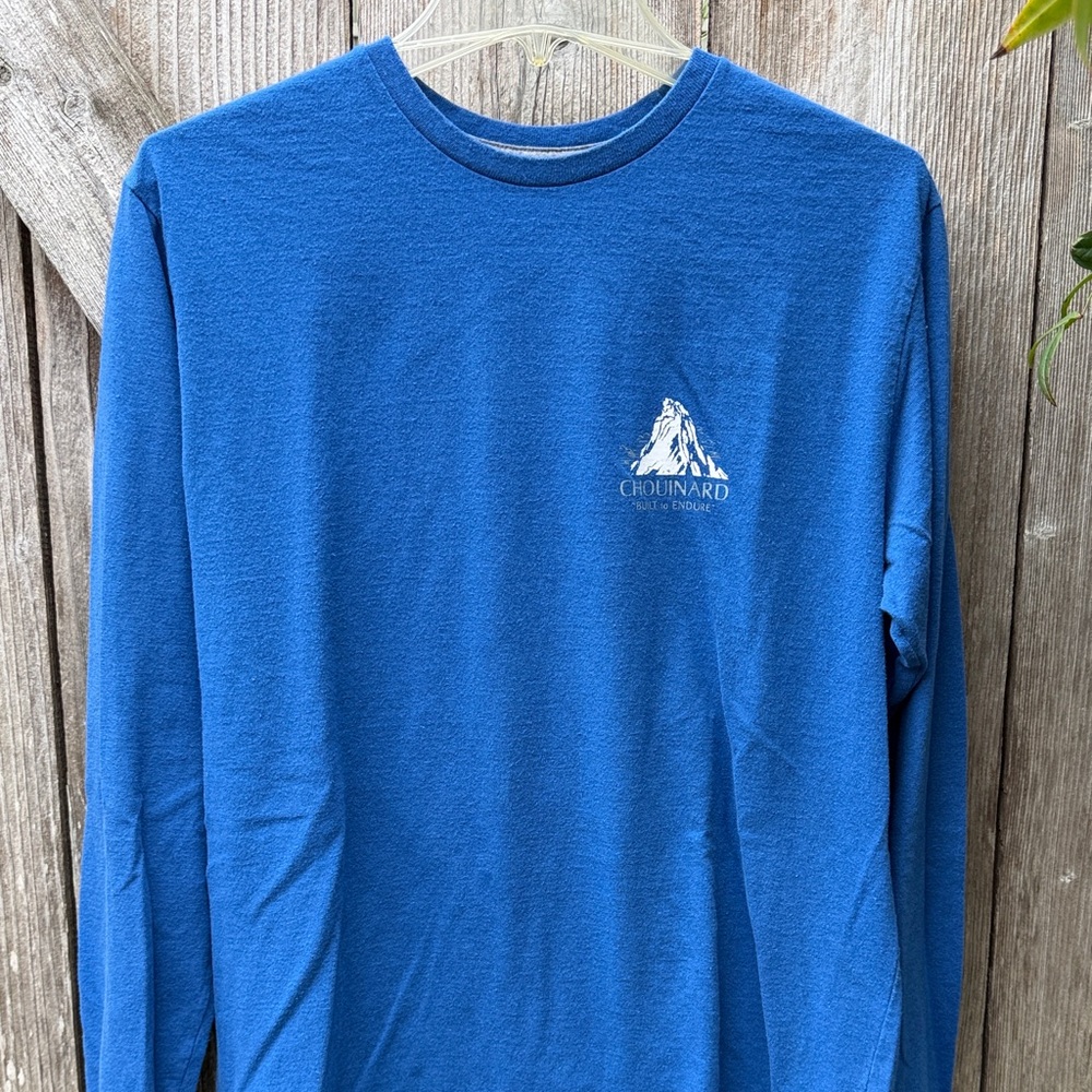 Patagonia Long Sleeve Tee in Vibrant Blue